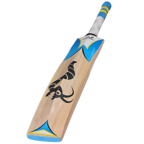 Woodworm Cricket IB 235 Cricket Bat Woodworm Direct