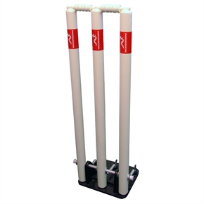 Woodworm Spring Back Stumps