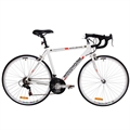 Woodworm White Lightning Road / Racing Bike