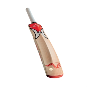 Woodworm iBat Junior Cricket Bat FLAME