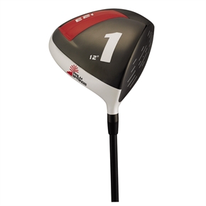 Palm Springs E2i Driver