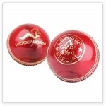 Cricket Balls