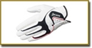 Gloves and Accessories